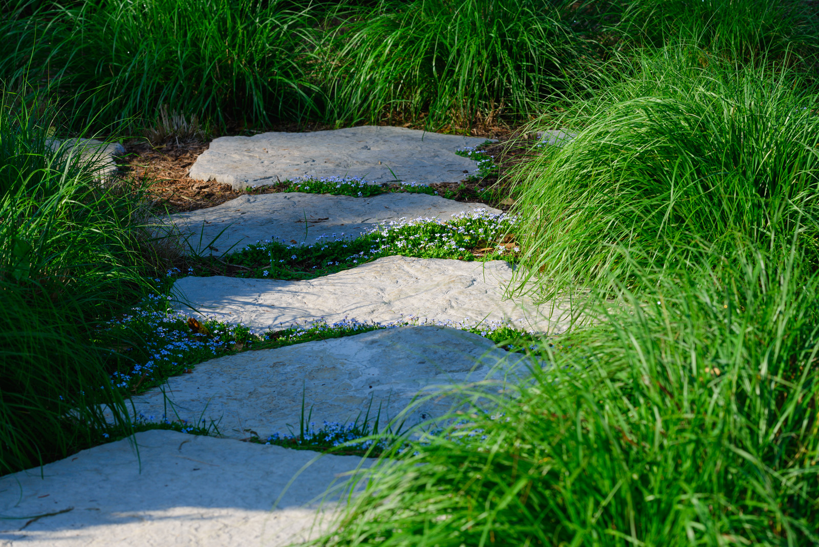 Landscape Design, Booker Design Collaborative, Louisville, KY USA