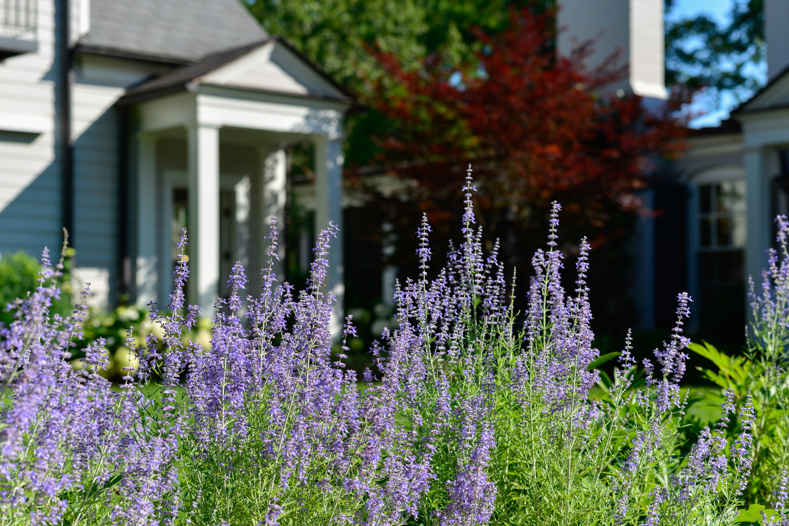 Landscape Design, Booker Design Collaborative, Louisville, KY USA
