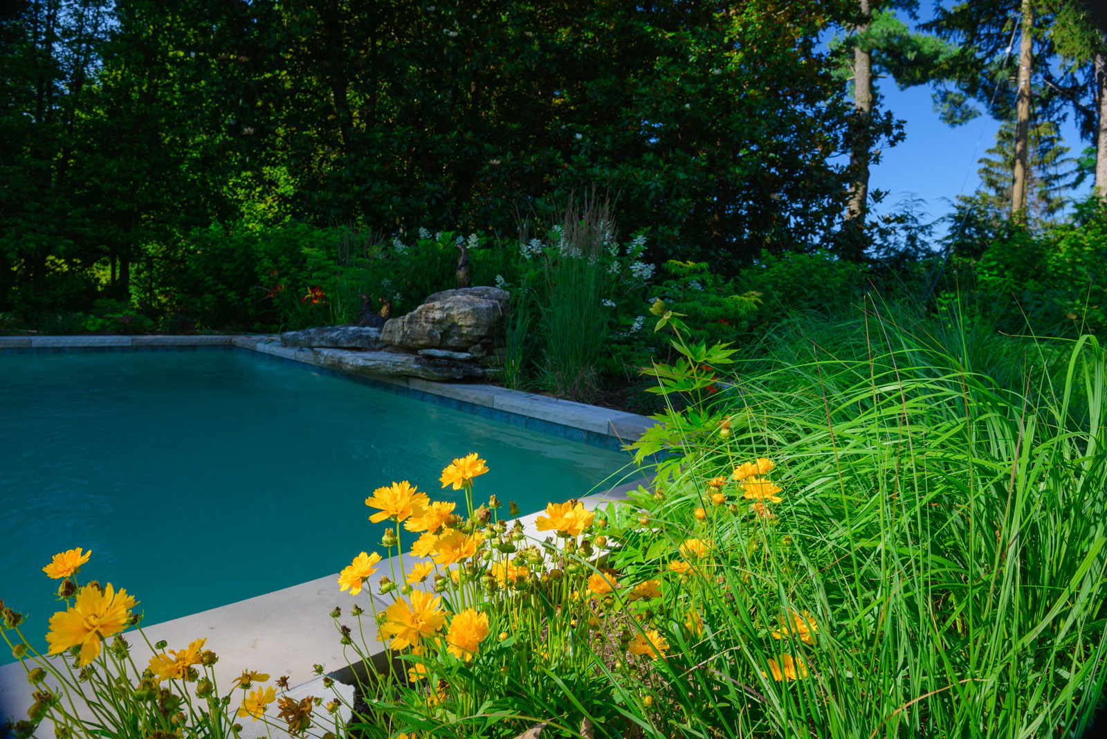 Landscape Design, Booker Design Collaborative, Louisville, KY USA
