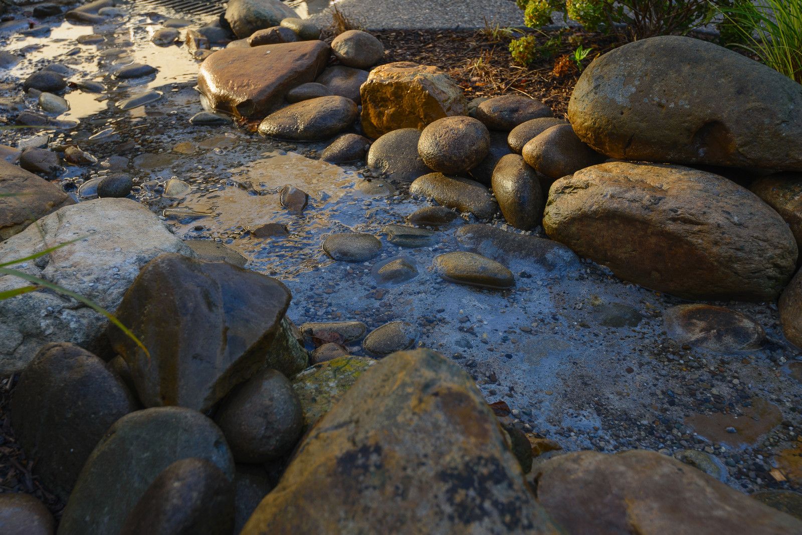 Landscape Design, Booker Design Collaborative, Louisville, KY USA