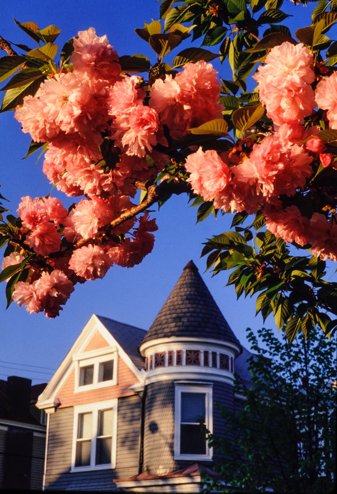 Victorian Home, Louisville, KY