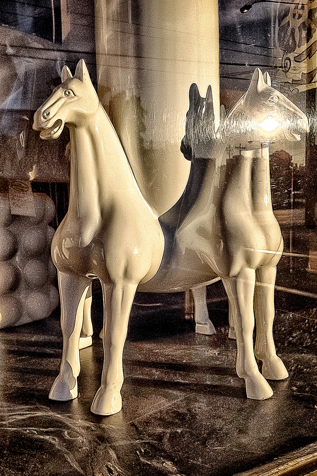 Show Horses