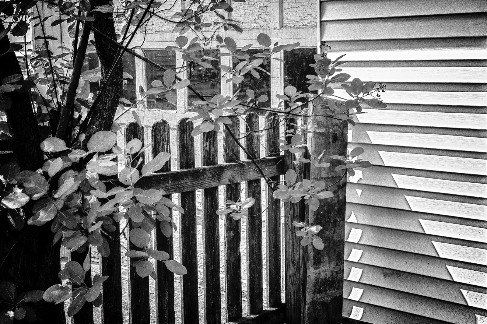 Block Series