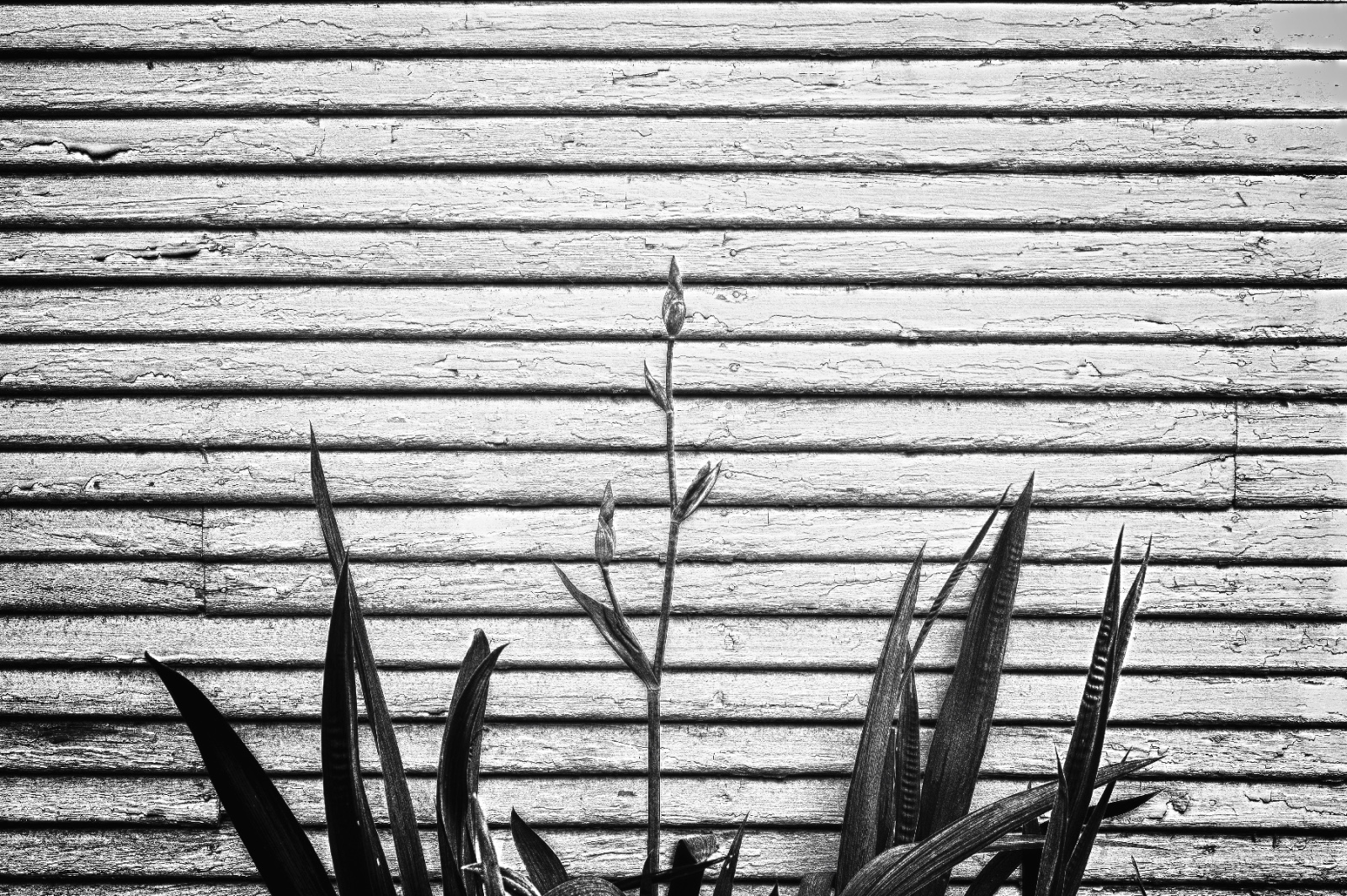 Block Series