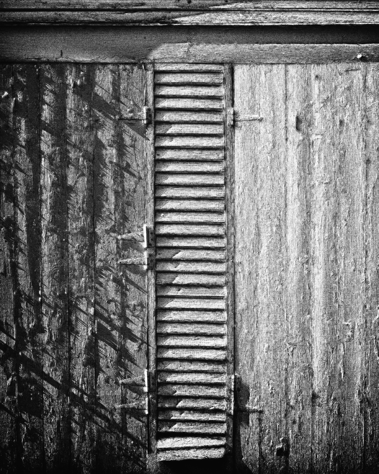 Block Series