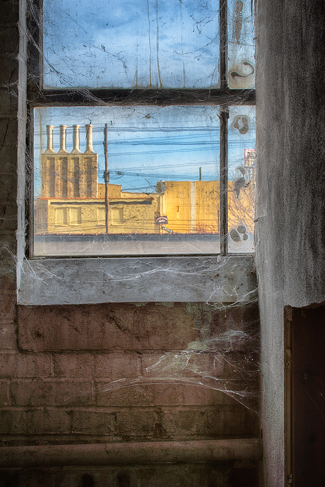 Webby Window