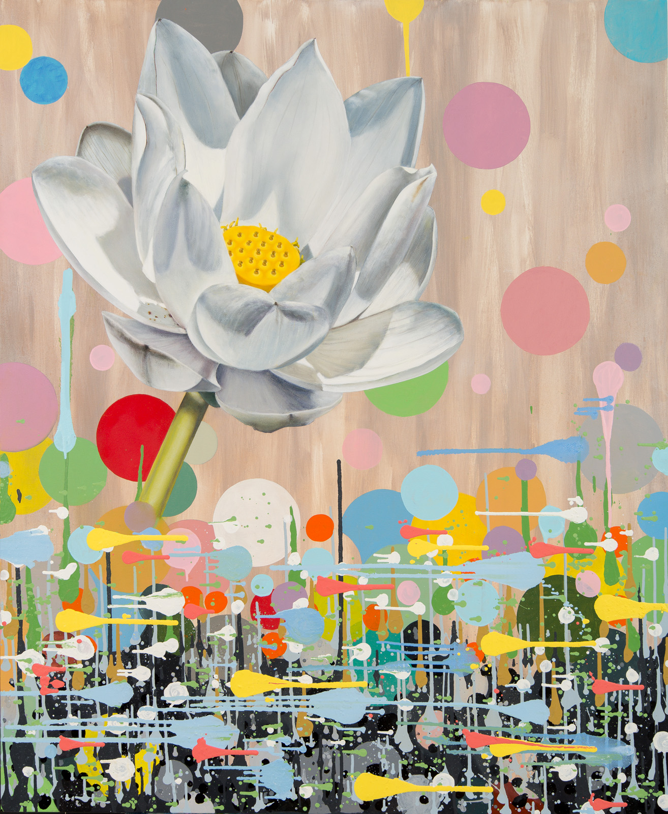 North American Lotus 2, Chickasaw Park, 2018